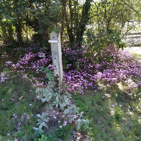 Maison Spacieuse Avec Jardin A Lathus-saint-remy, 160 M², Barbecue *