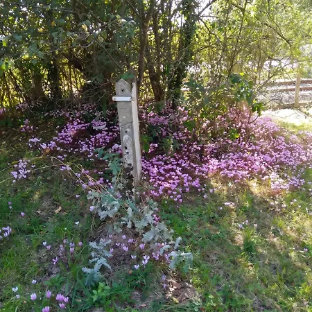 Maison Spacieuse Avec Jardin A Lathus-saint-remy, 160 M², Barbecue Дом отдыха