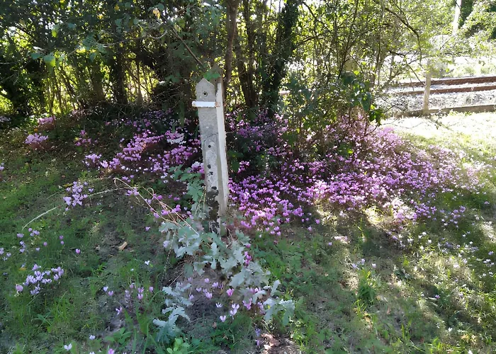 Maison Spacieuse Avec Jardin A Lathus-Saint-Remy, 160 M², Barbecue *